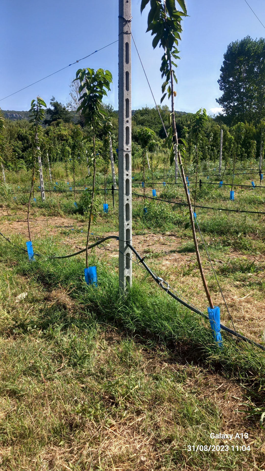 Gripple DPAK - Image 4