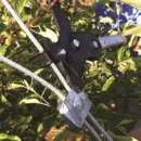 c5d98737cf45f05659ba45984bb03a27ddeb4183