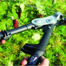 xlarge_20210312170739_c2ccefa2