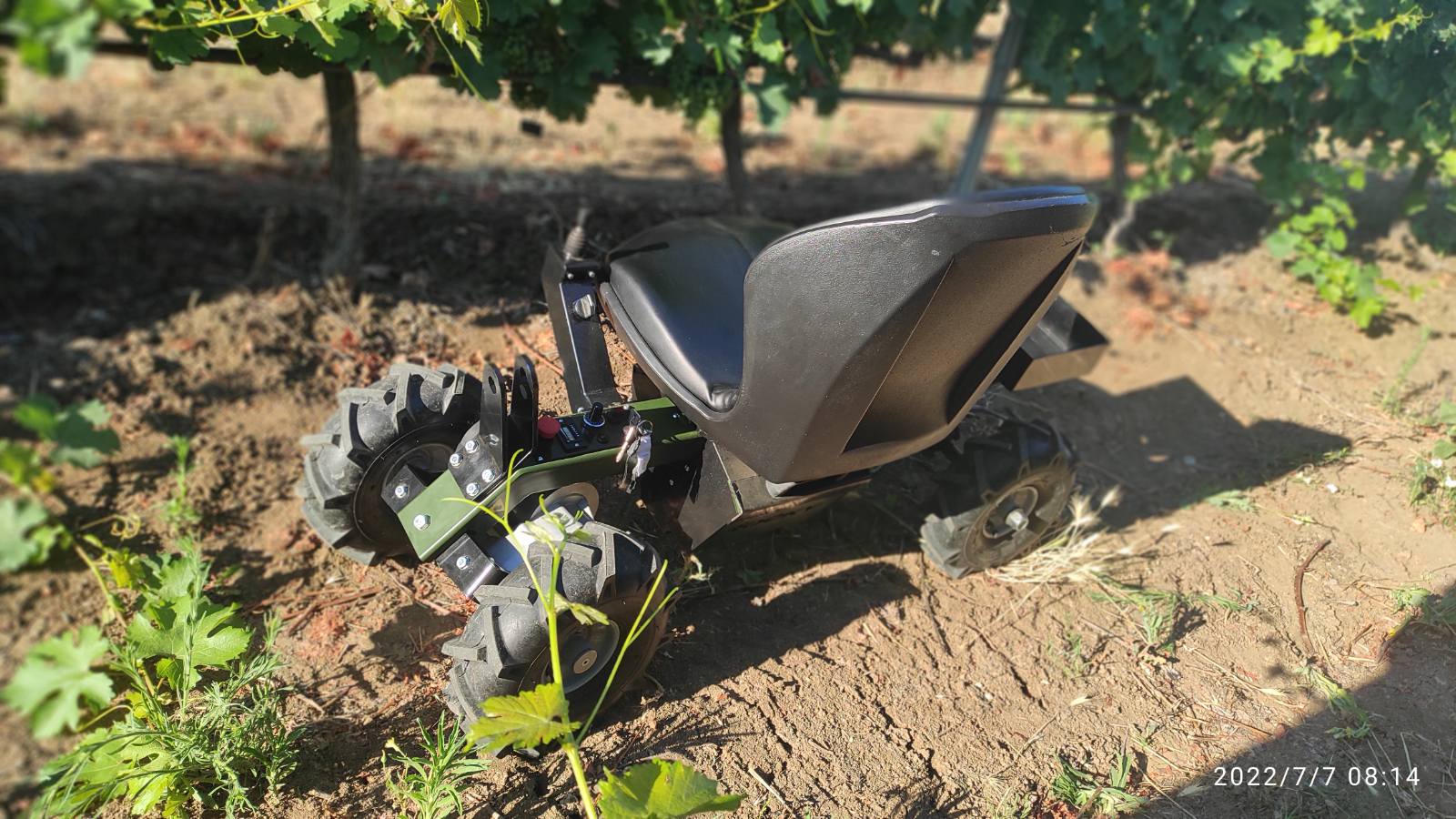 Rocky one mountain - Image 5