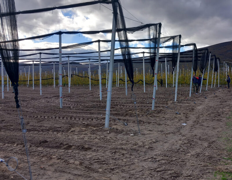 antixalaziki_arnissa_1