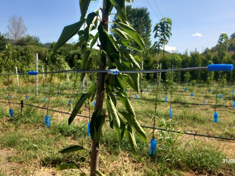 20230831_115027-1024x576