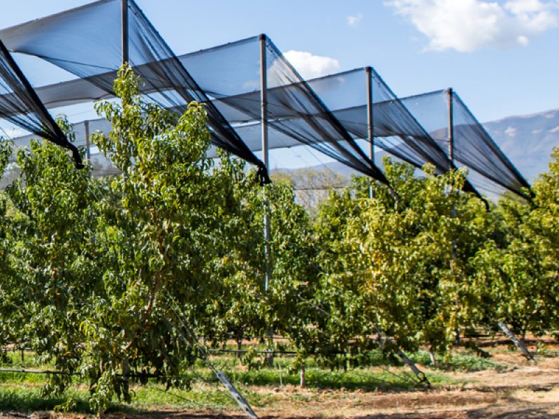 grammikesMeletesAgoras3