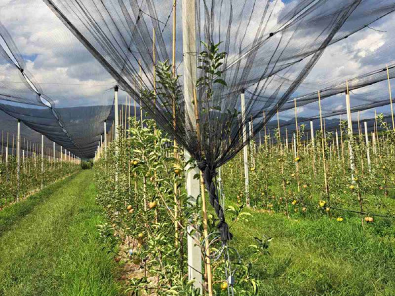 sistimataStiriksisMain