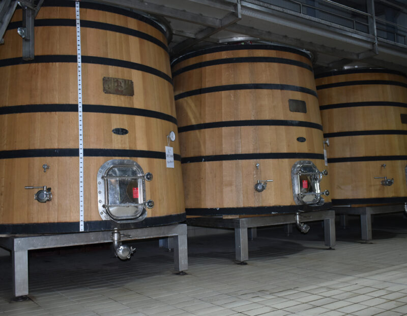 kir-gianni-vaseis-deksamenes-1